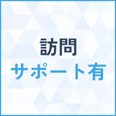 訪問サポート有