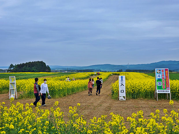 2021年のなのはな小路