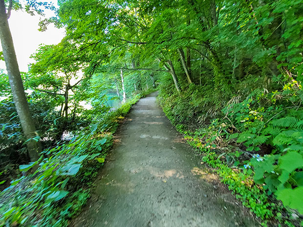 散策道路