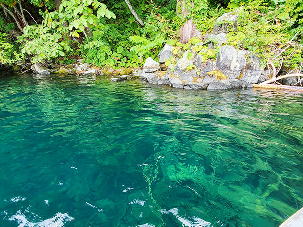 透明度の高い十和田湖の水